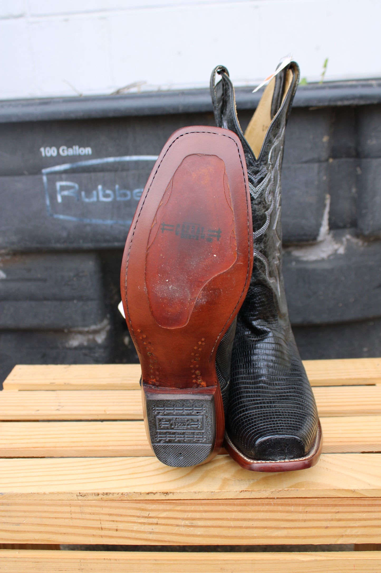 Corral Boots- Black Lizard Cutter Toe