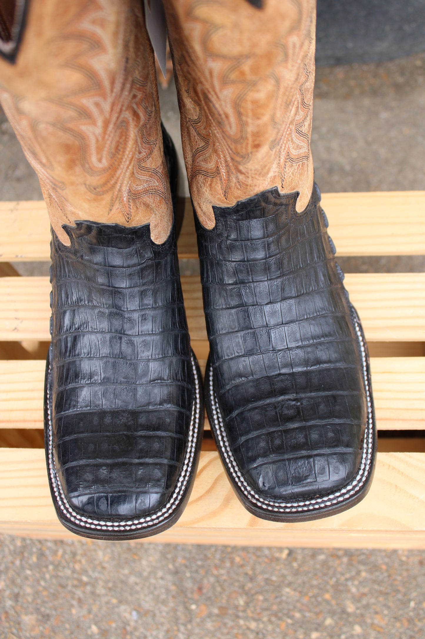 Stetson Horseman-Black Caiman Belly