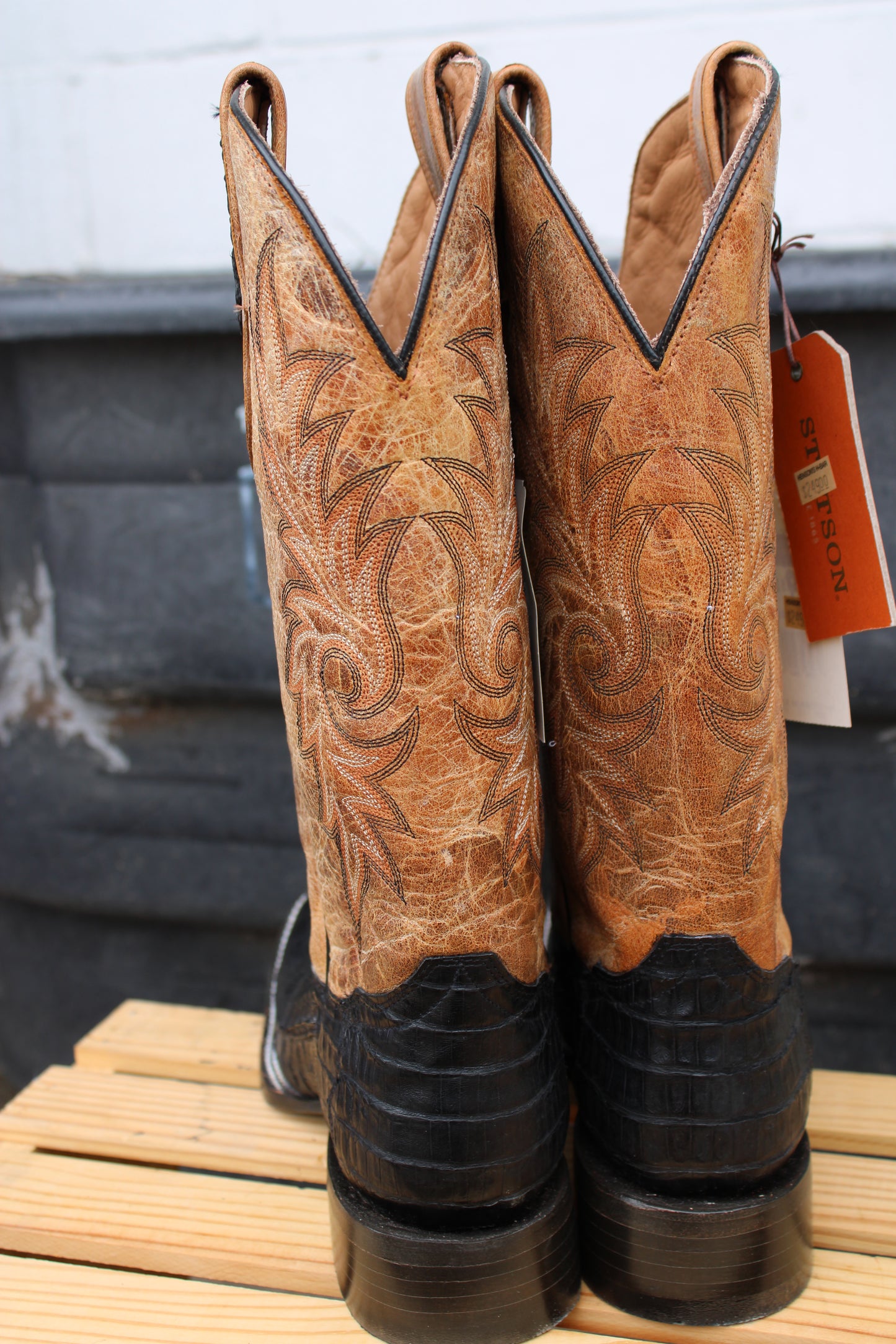 Stetson Horseman-Black Caiman Belly