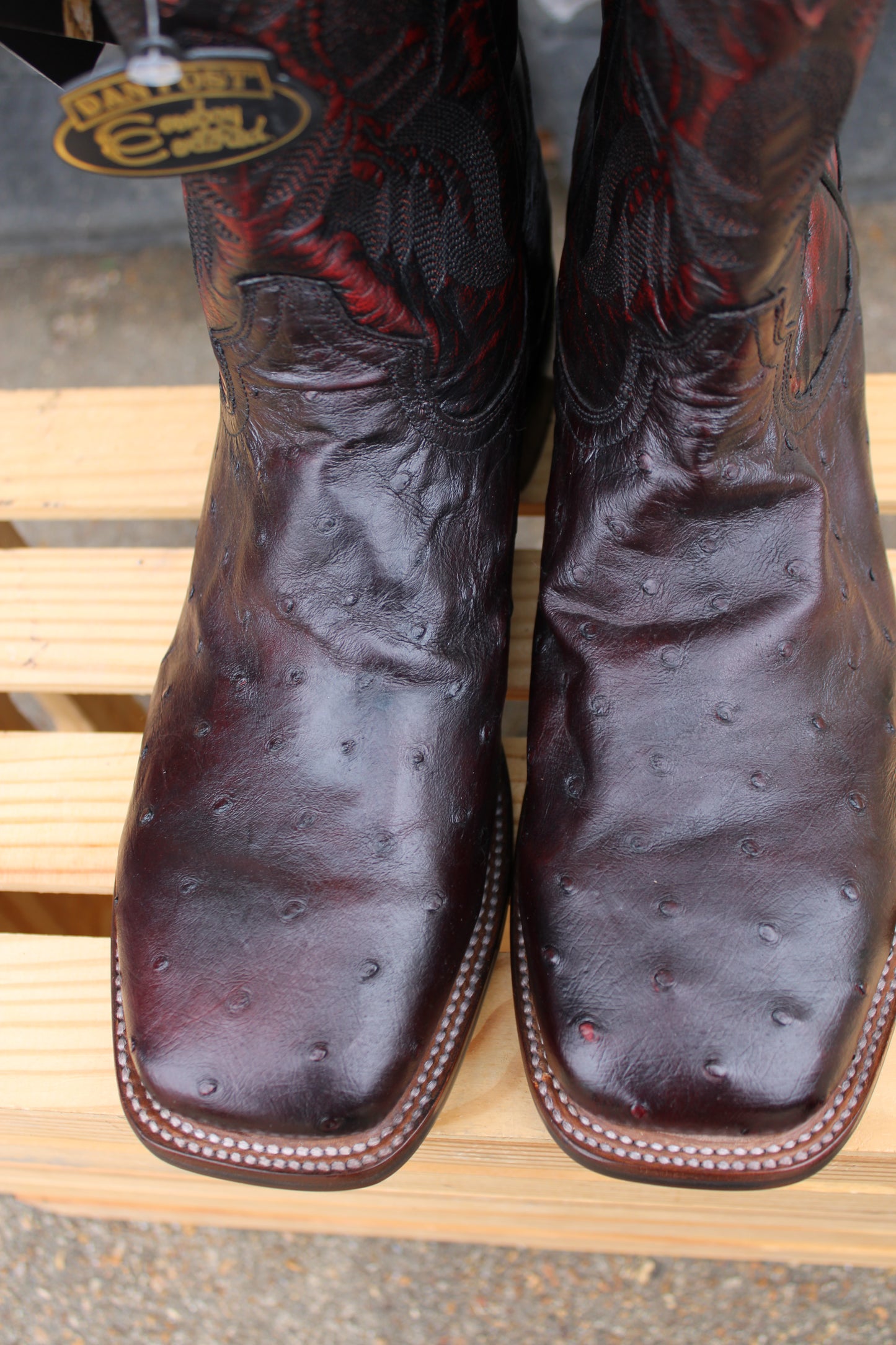 Dan Post Cowboy Certified- Alamosa Black Cherry Full Quill Ostrich