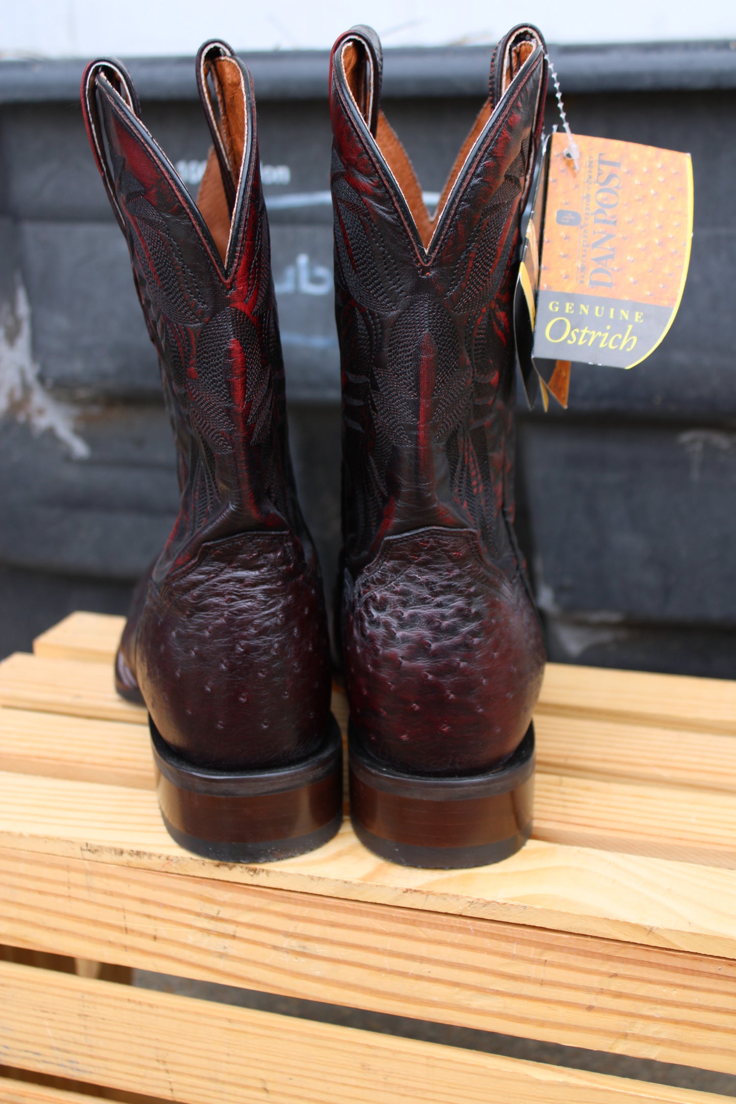 Dan Post Cowboy Certified- Alamosa Black Cherry Full Quill Ostrich