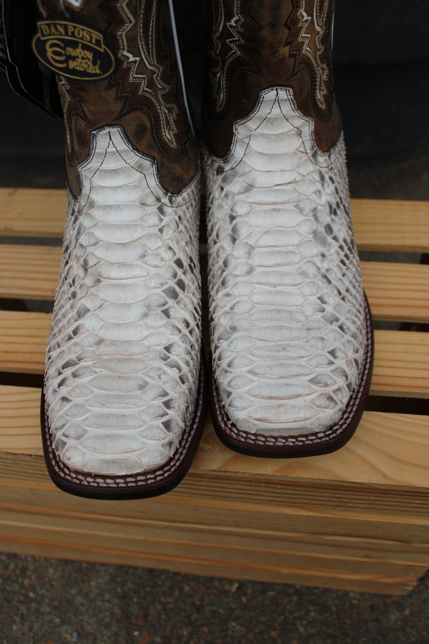 Dan Post Cowboy Certified-Brutus-Python Natural & Brown