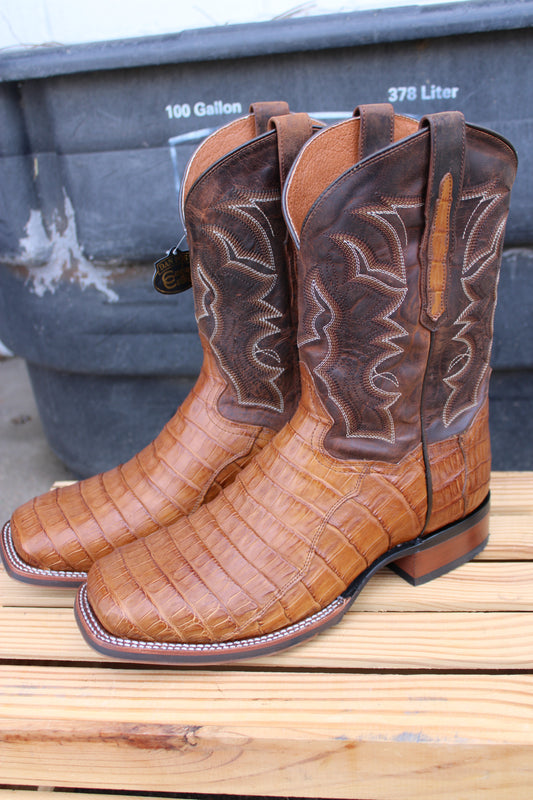 Dan Post Cowboy Certified- Kingsley Caiman- Bay Apache
