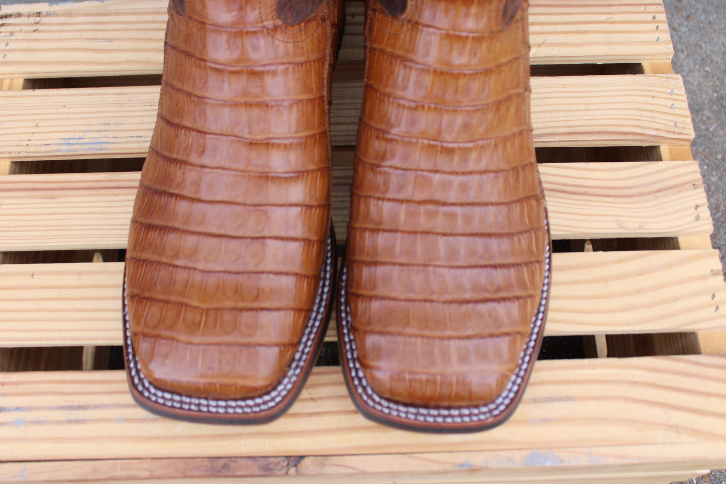 Dan Post Cowboy Certified- Kingsley Caiman- Bay Apache