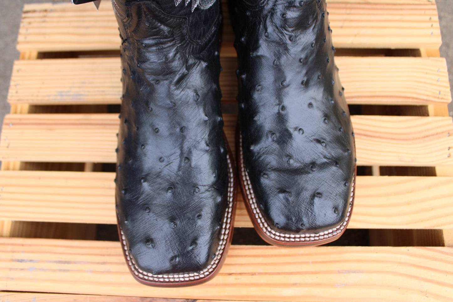 Dan Post Cowboy Certified-Alamosa Full Quill Ostrich- Black