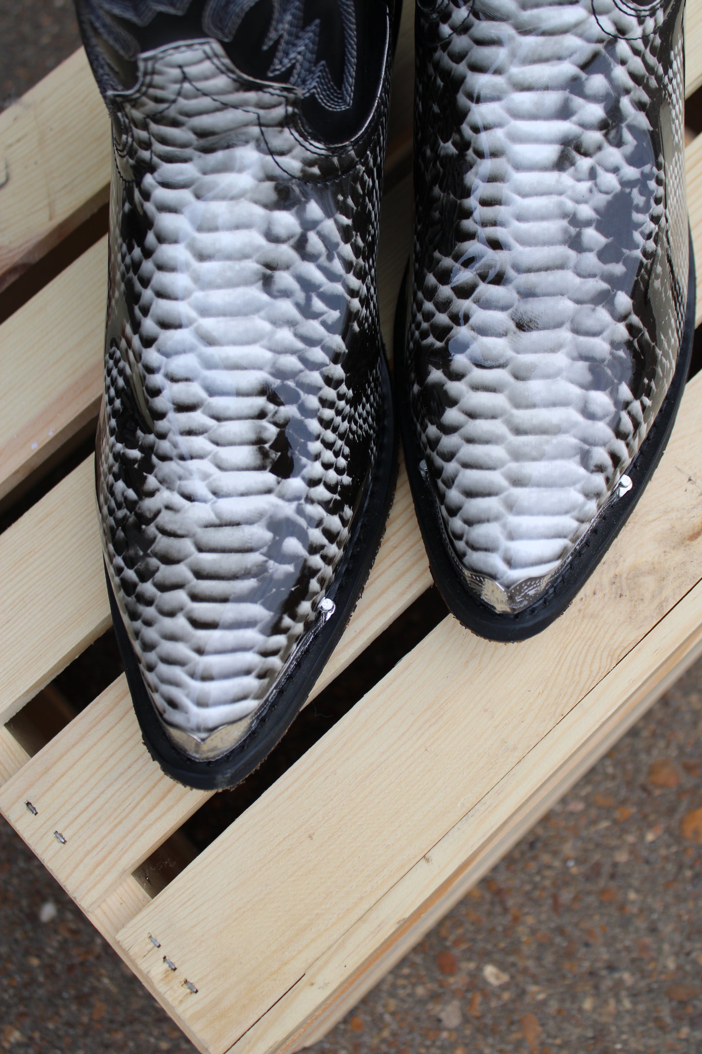 Laredo-Black & White Snake Print