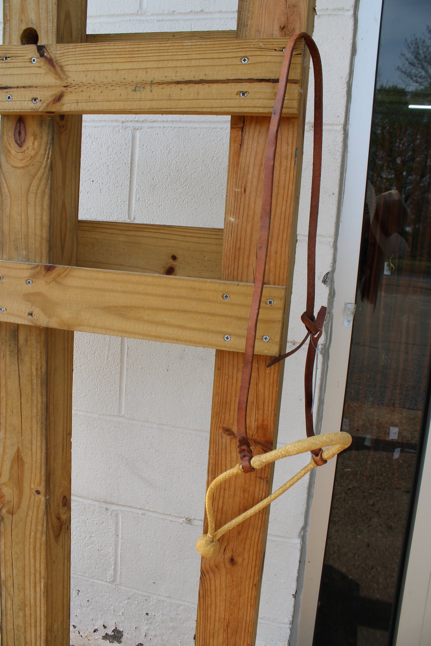 Loping Hackamore