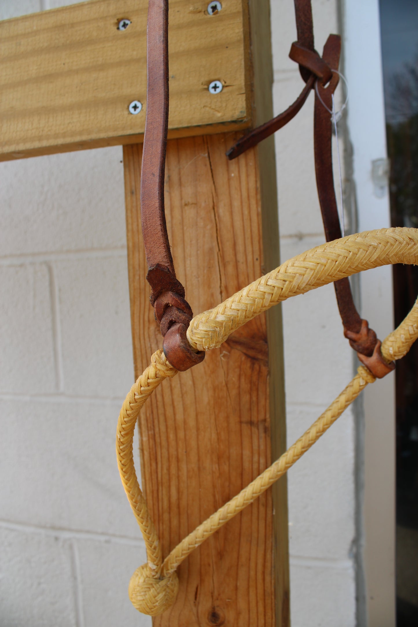 Loping Hackamore