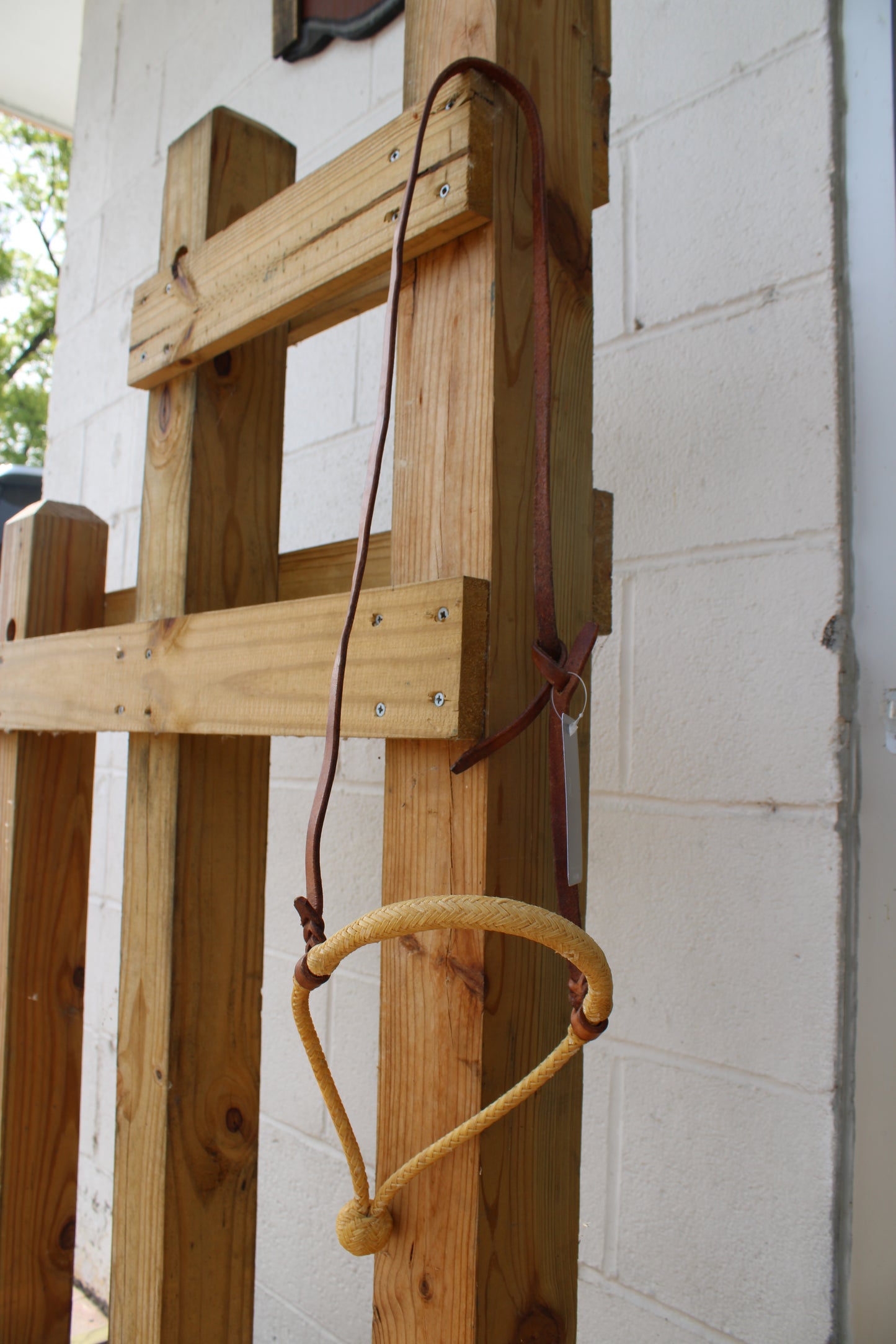 Loping Hackamore