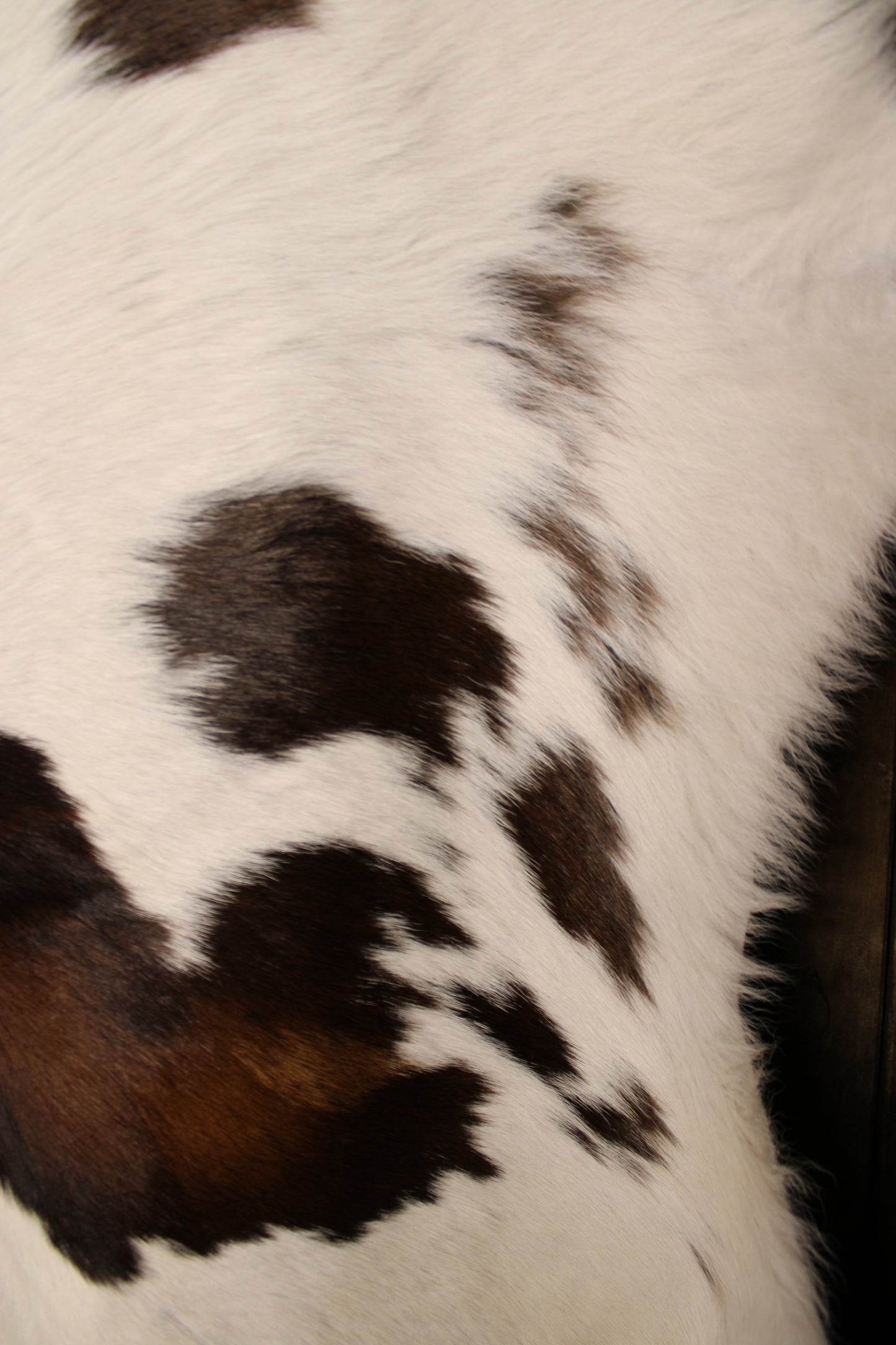 Calf Hide Rug