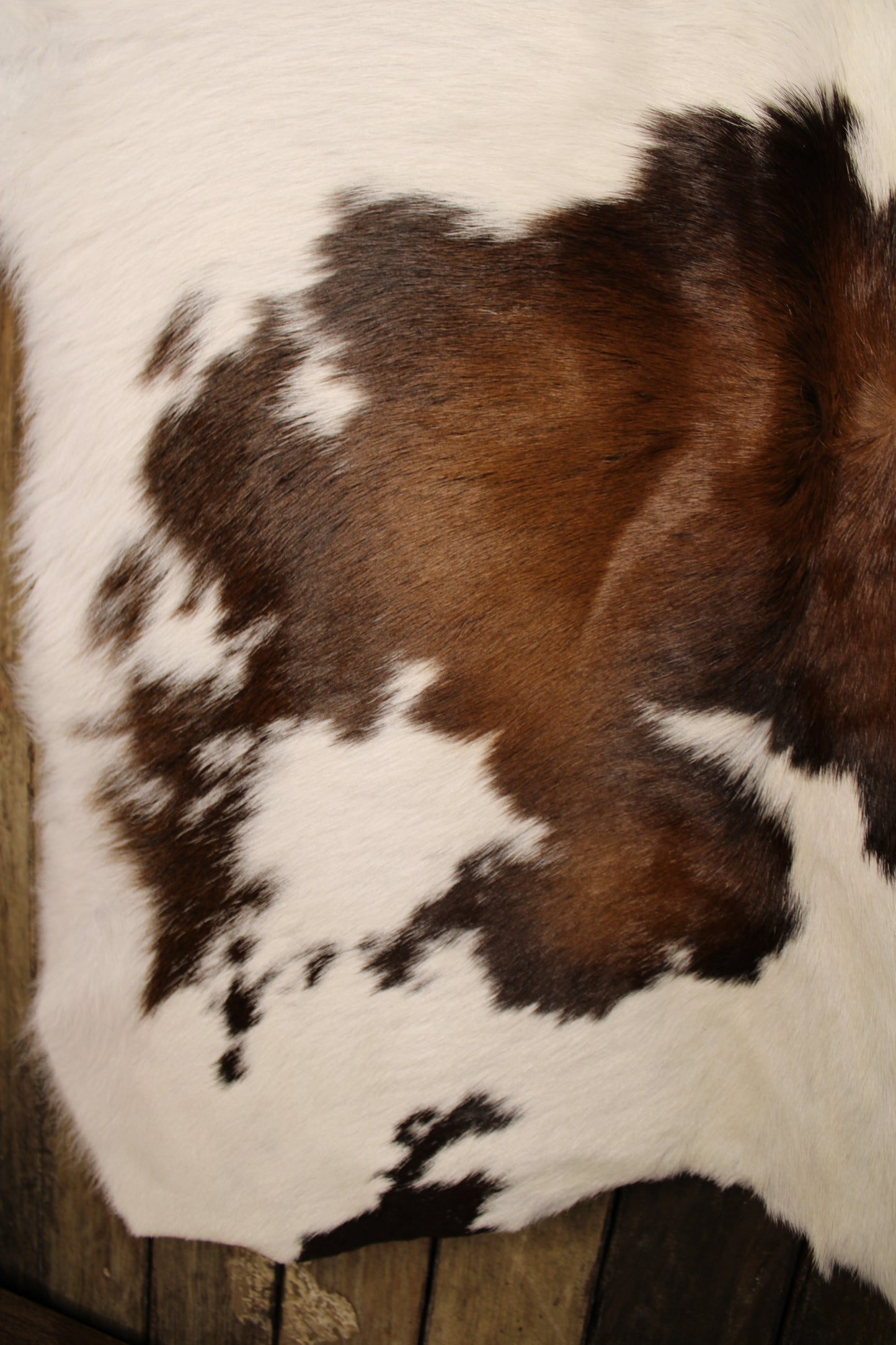 Calf Hide Rug