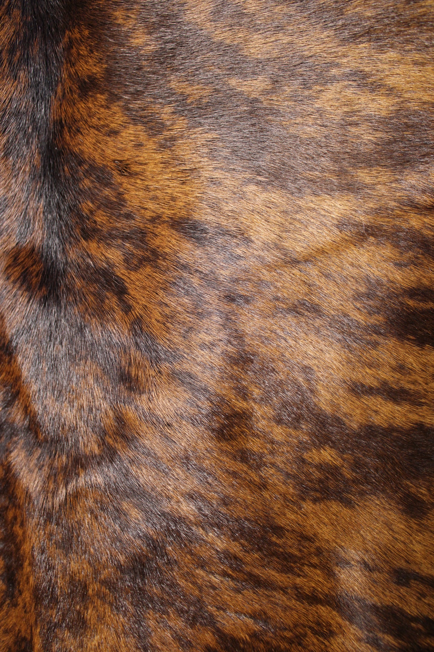 Calf Hide Rug