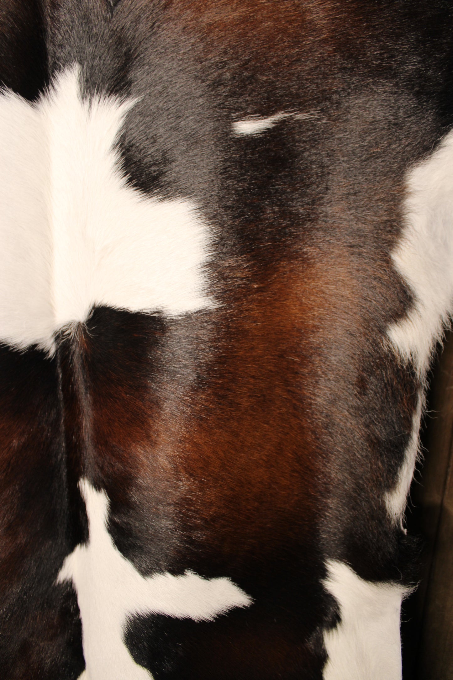 Calf Hide Rug