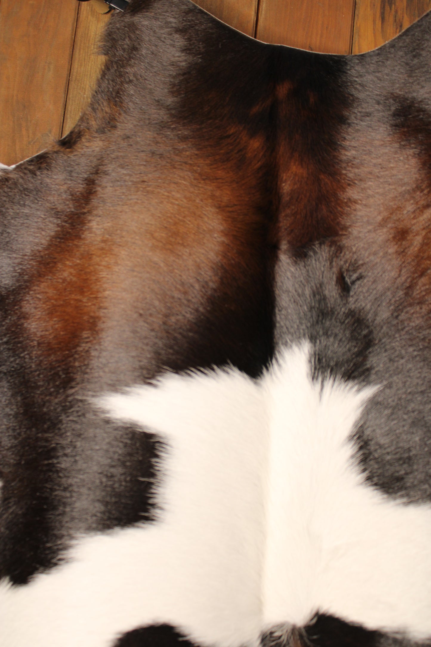 Calf Hide Rug