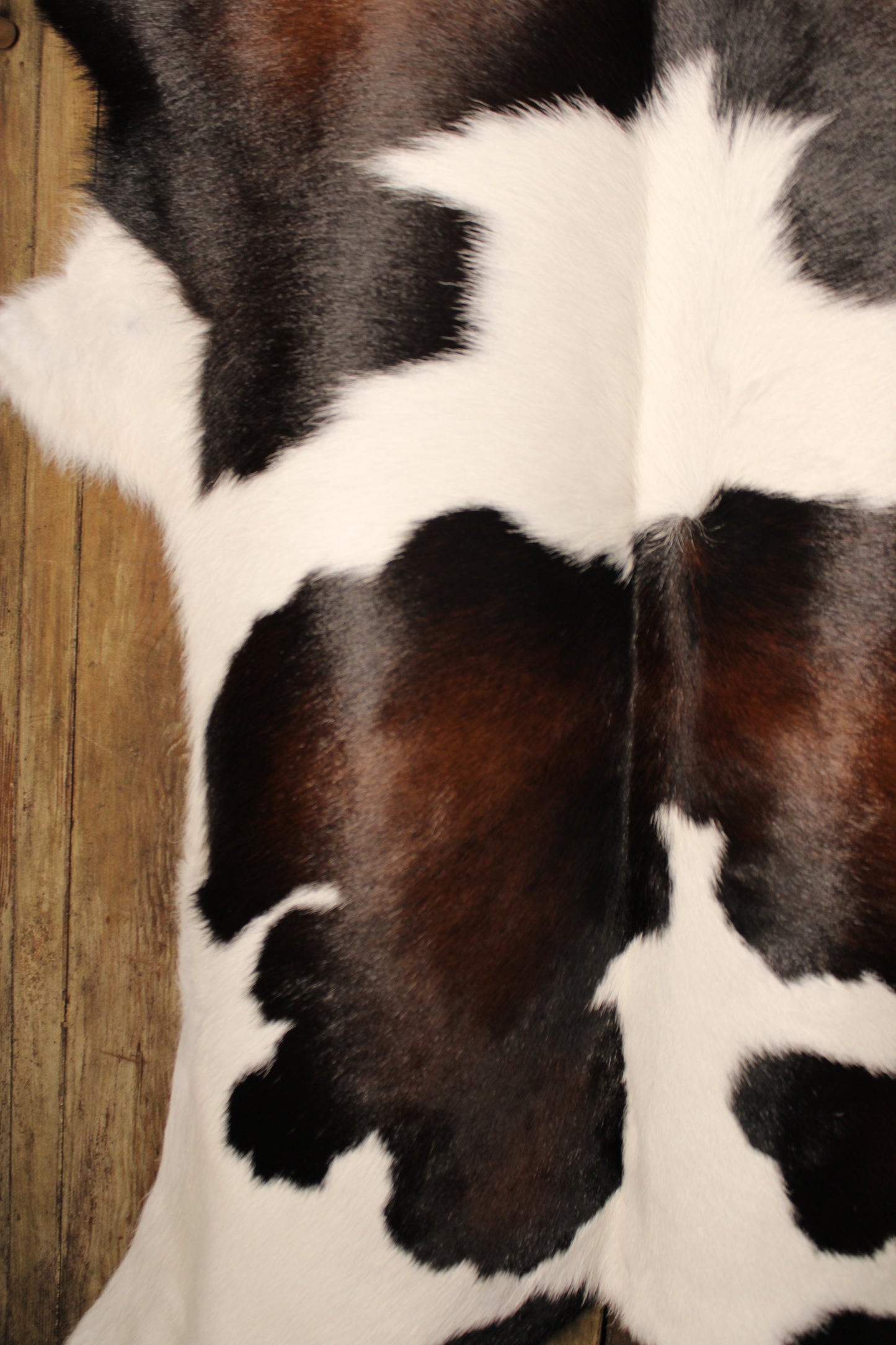 Calf Hide Rug