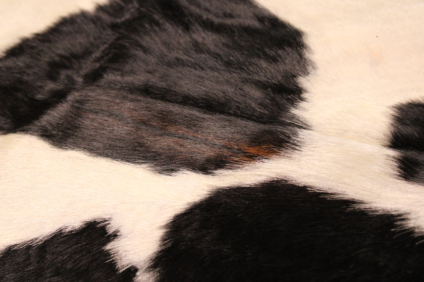 Black & White Cowhide