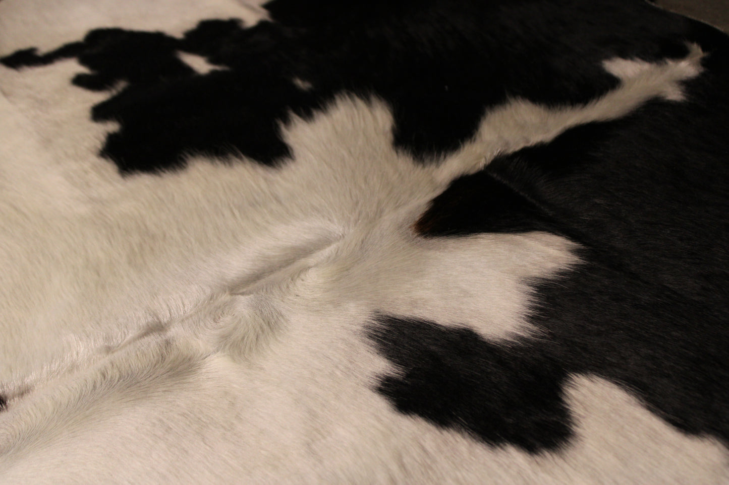 Black & White Cowhide