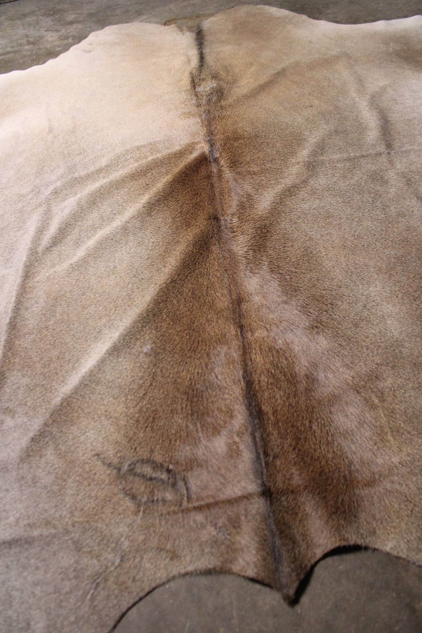 Branded Fawn Cowhide