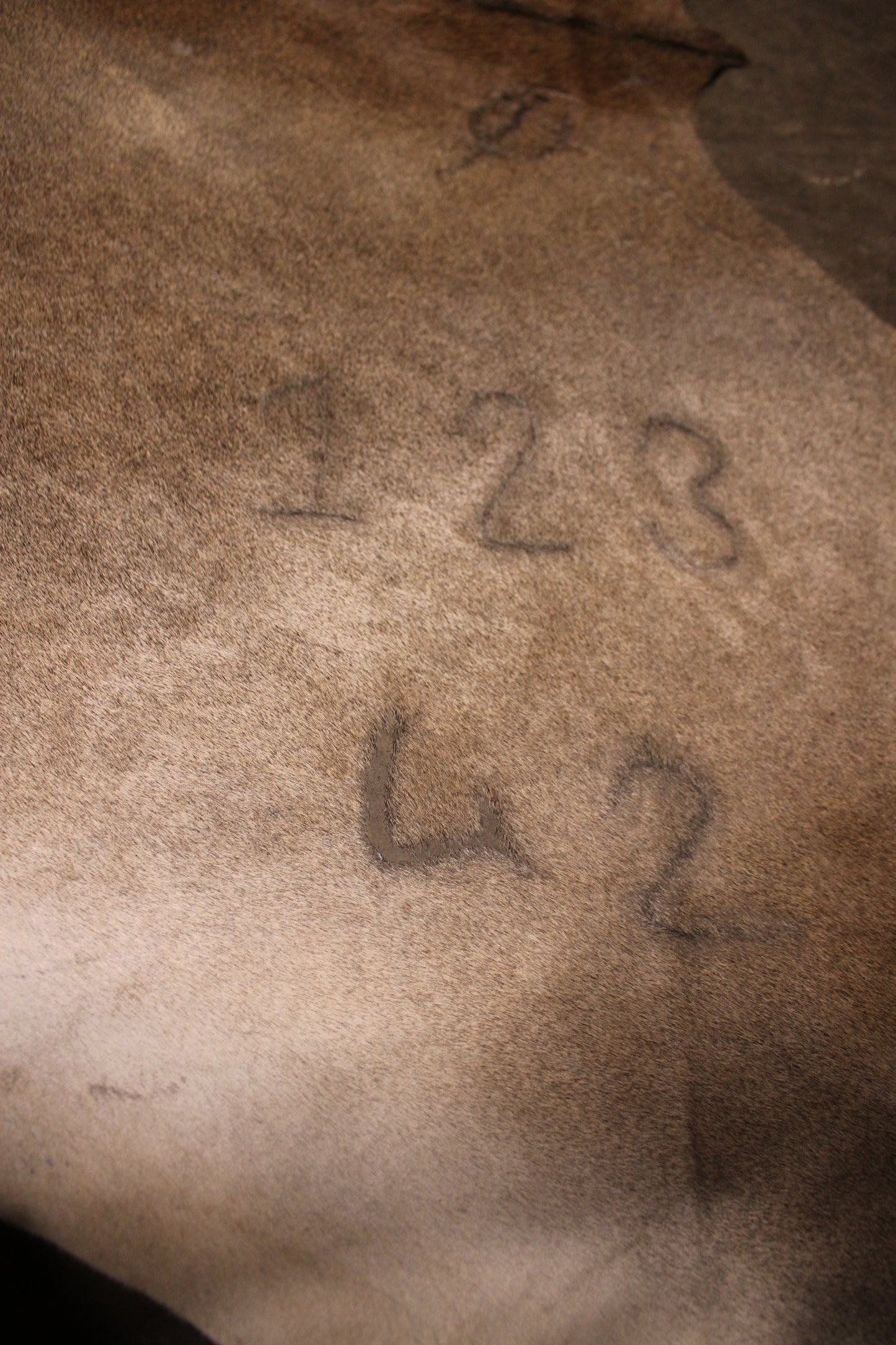 Branded Fawn Cowhide