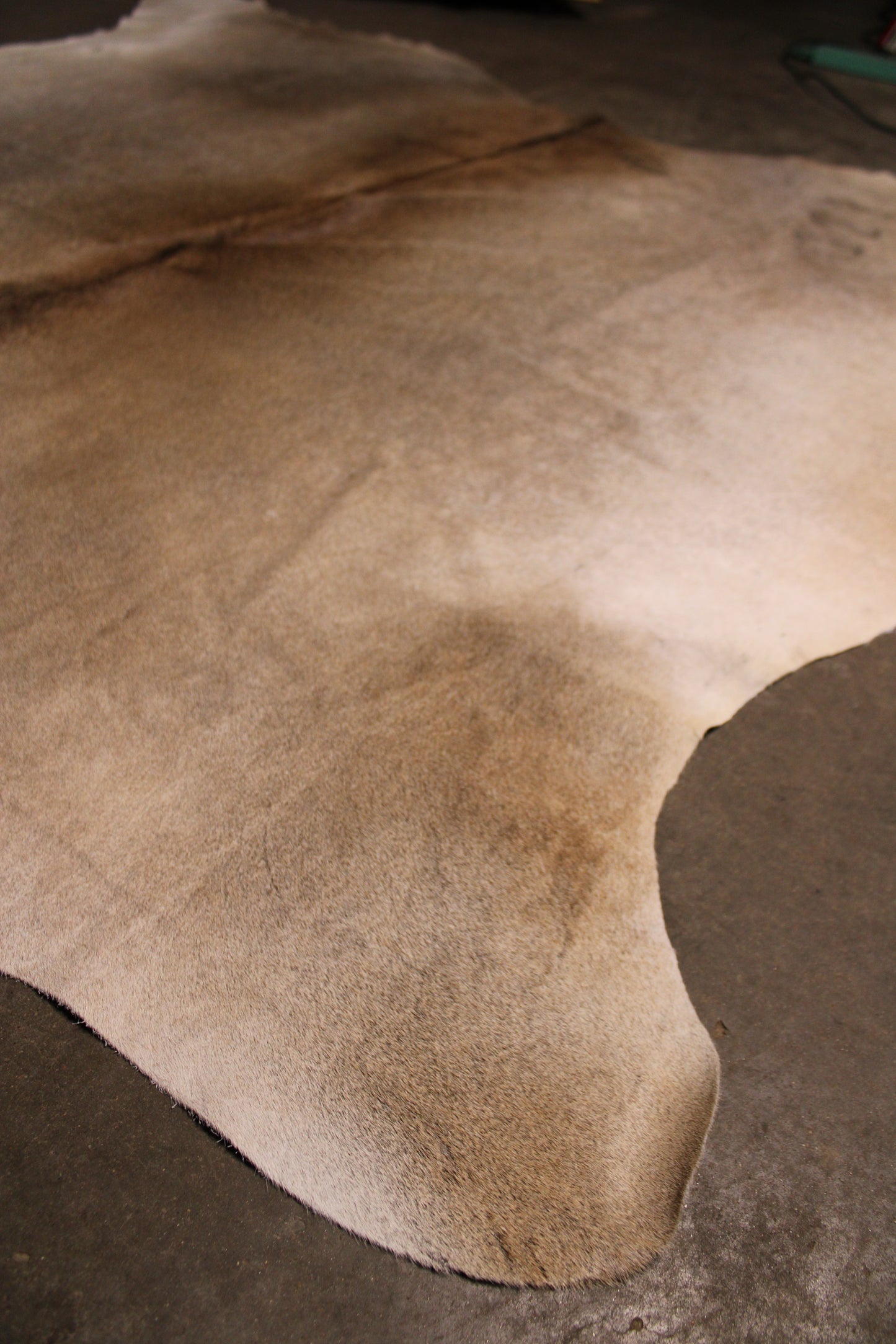 Branded Fawn Cowhide