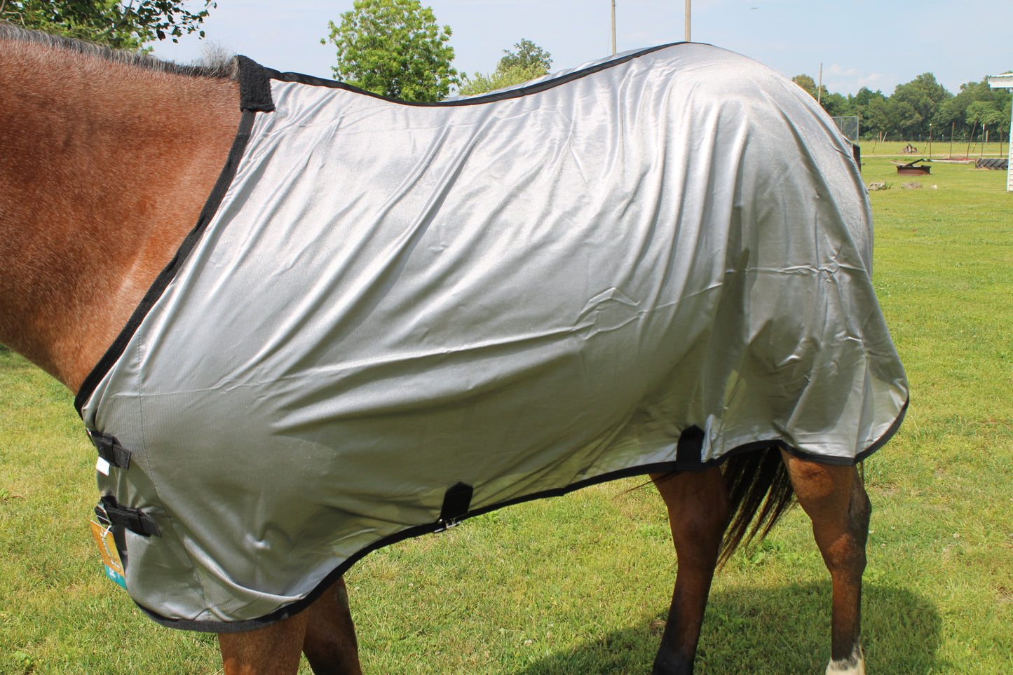 Lightweight Poly/Metallic Fly Sheet