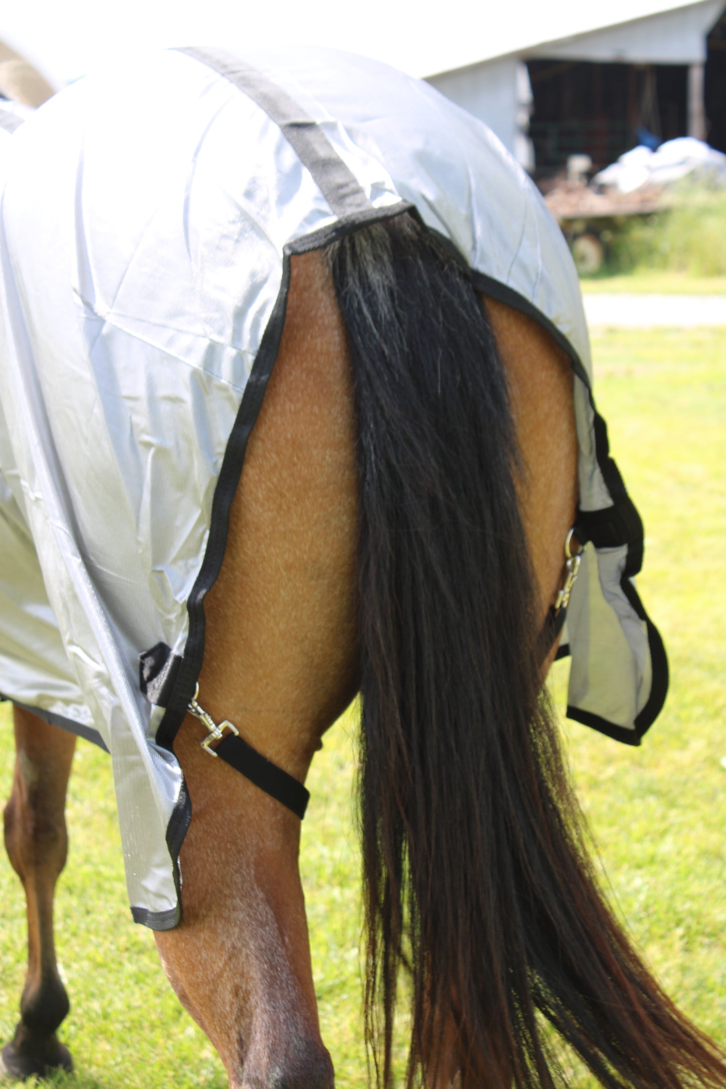 Lightweight Poly/Metallic Fly Sheet