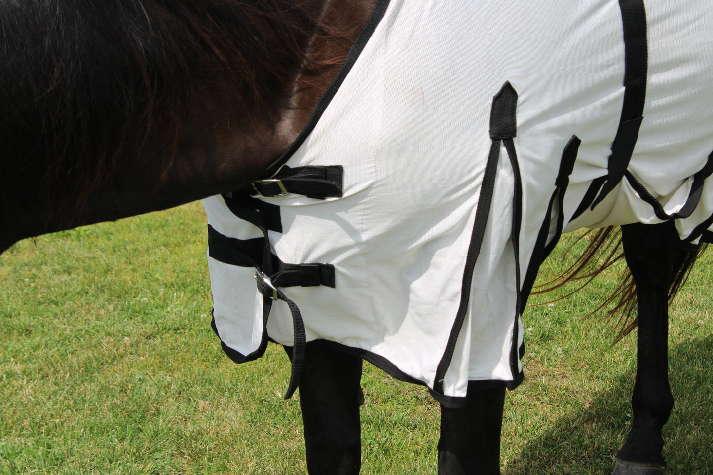 Micro Mesh Fly Sheet by Tough1®