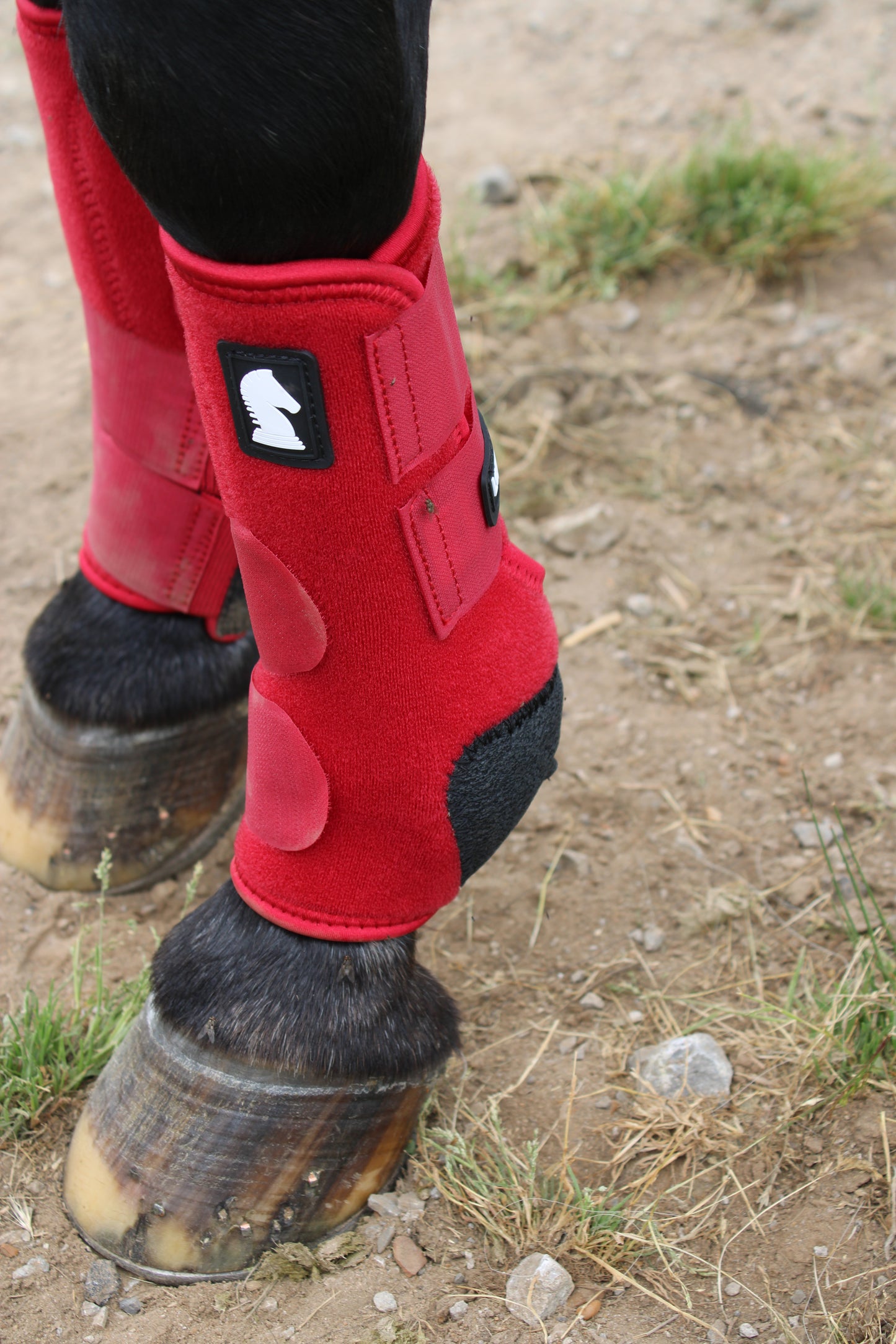 Legacy2™ Support Boots by Classic Equine