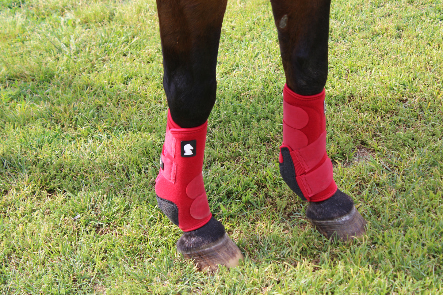 Legacy2™ Support Boots by Classic Equine