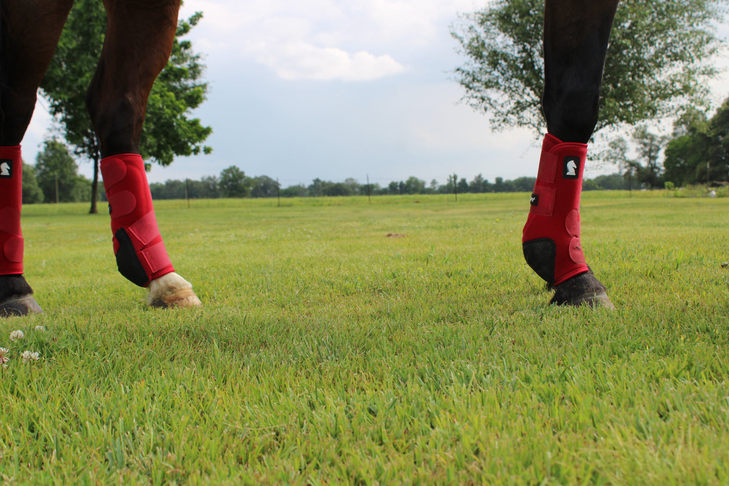Legacy2™ Support Boots by Classic Equine