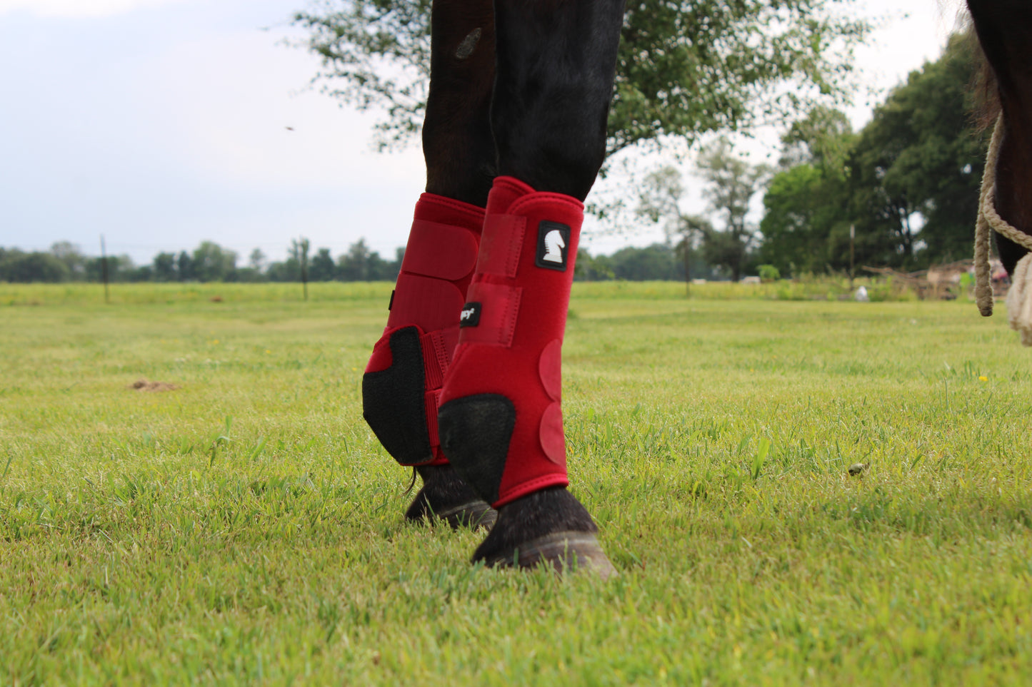 Legacy2™ Support Boots by Classic Equine