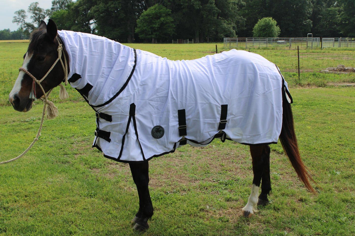 Lightweight Fly Scrim with Neck Cover by Centaur Horsecare