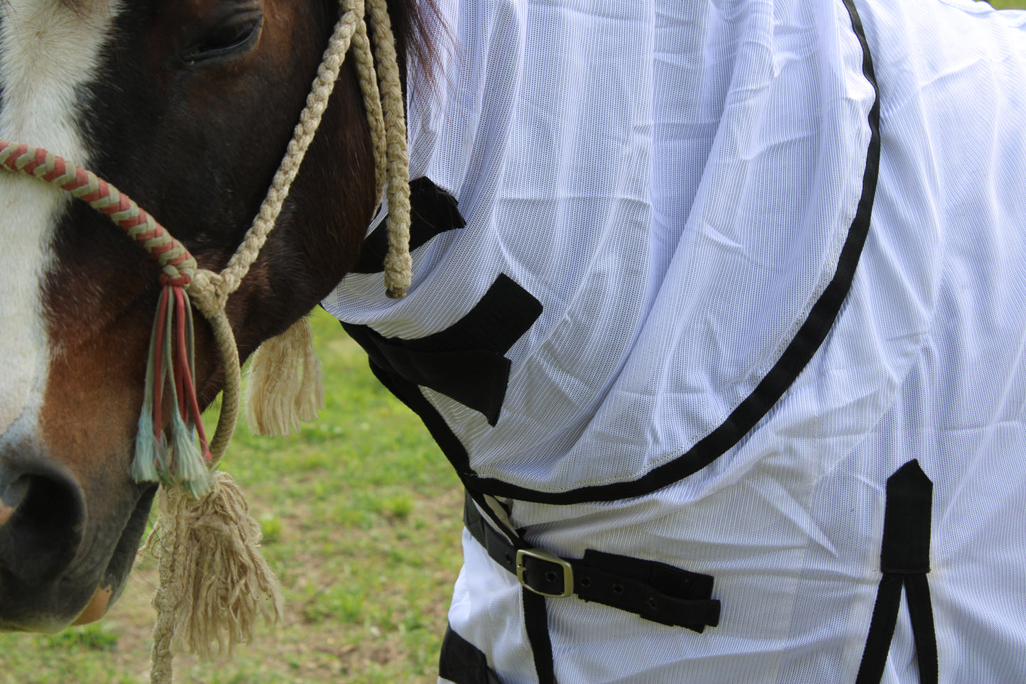 Lightweight Fly Scrim with Neck Cover by Centaur Horsecare