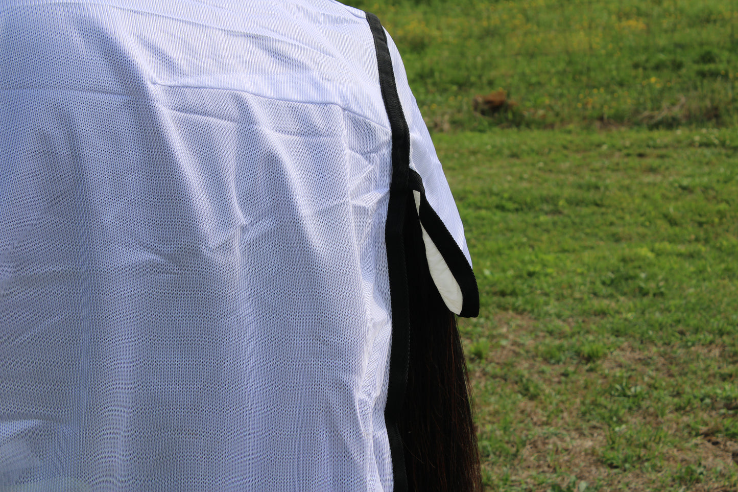 Lightweight Fly Scrim with Neck Cover by Centaur Horsecare