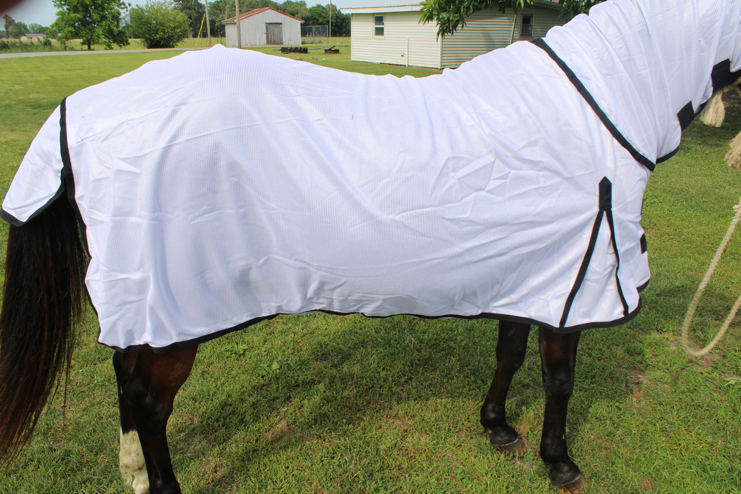 Lightweight Fly Scrim with Neck Cover by Centaur Horsecare