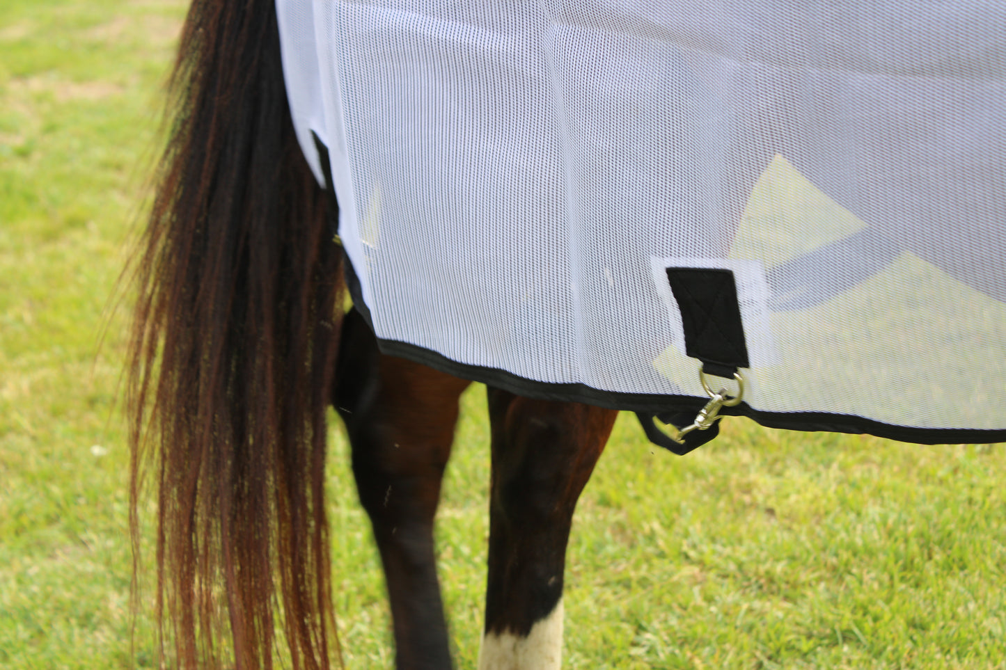 Royal Equine Fly Sheet