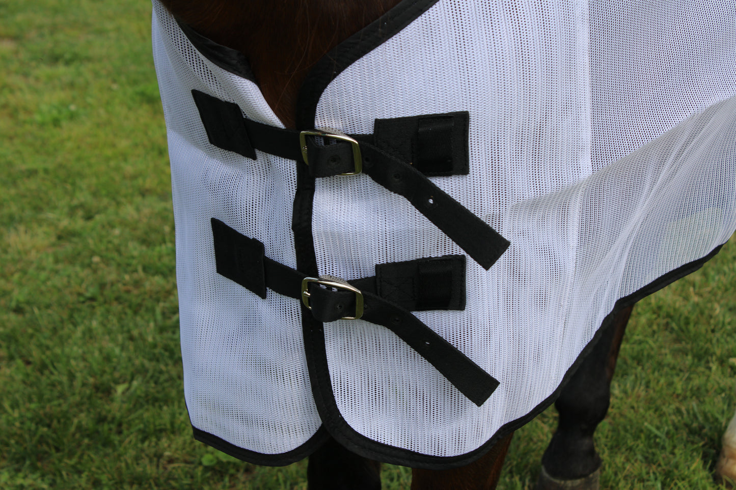 Royal Equine Fly Sheet
