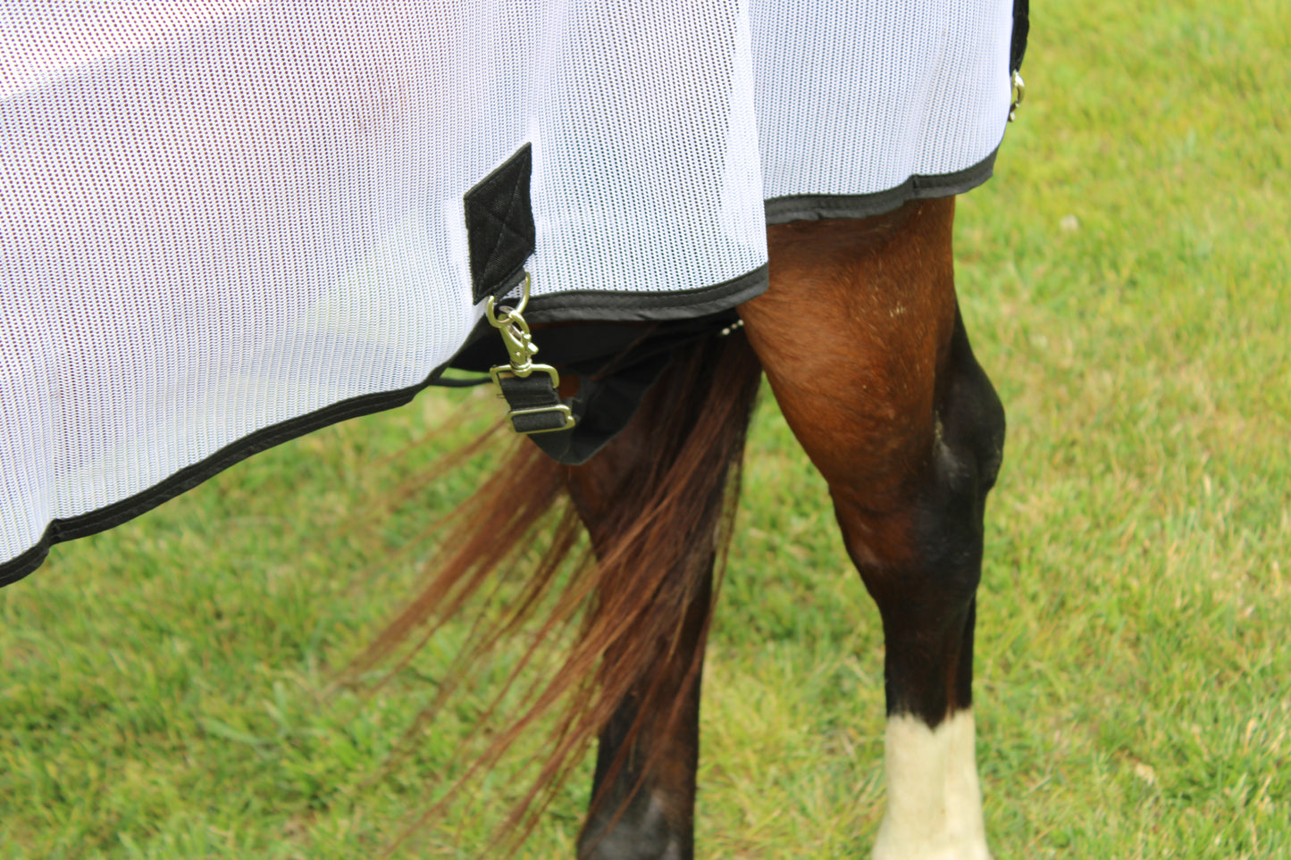 Royal Equine Fly Sheet