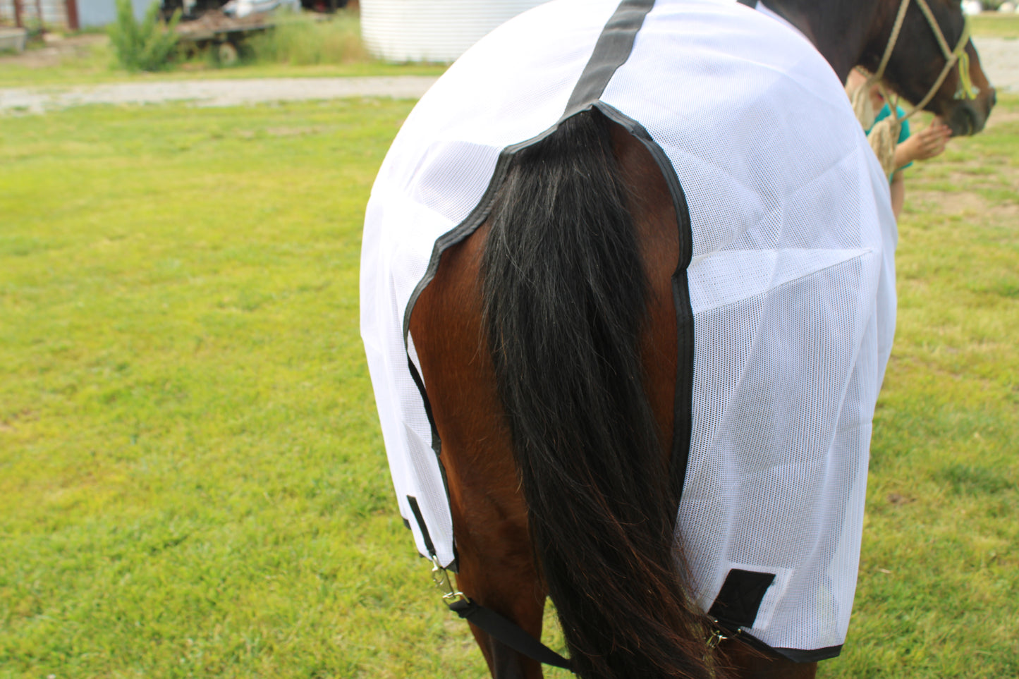 Royal Equine Fly Sheet