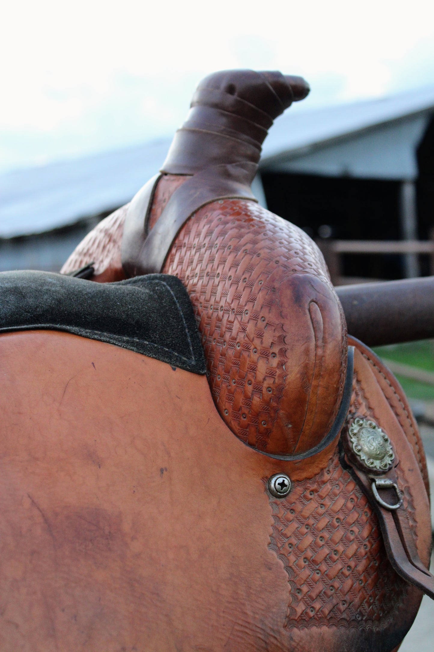 Nash Saddlery 16" Roping Saddle *USED*