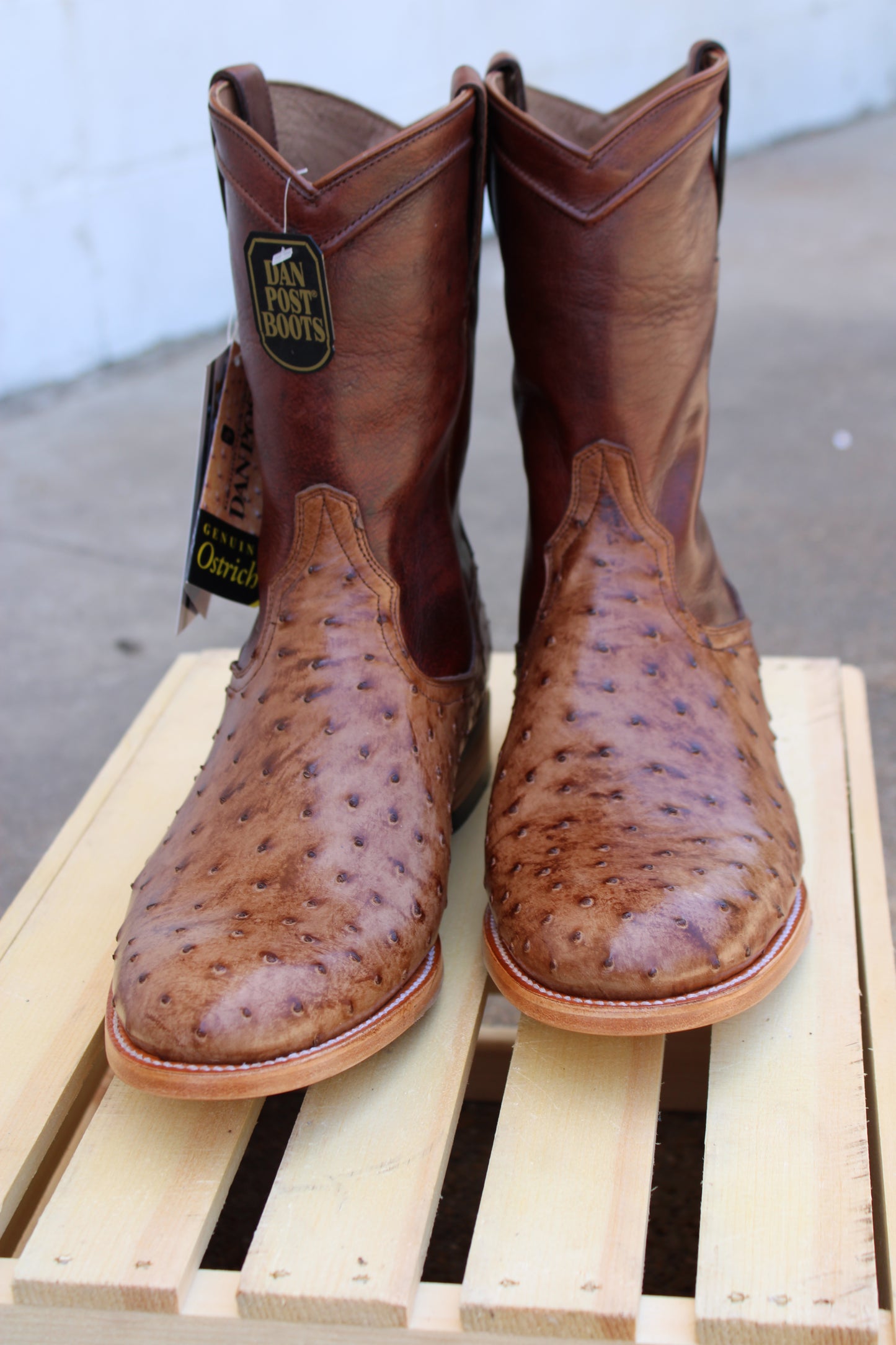 The Ardor Full Quill Ostrich Boot by Dan Post Boot Company®