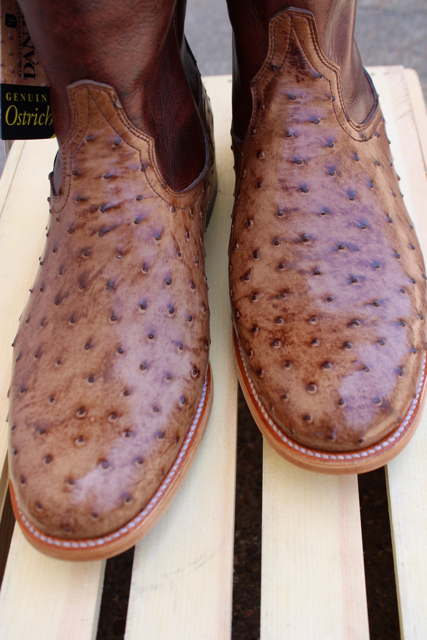 The Ardor Full Quill Ostrich Boot by Dan Post Boot Company®