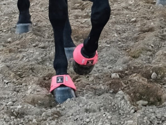 Classic Equine DyNo Turn Bell Boots