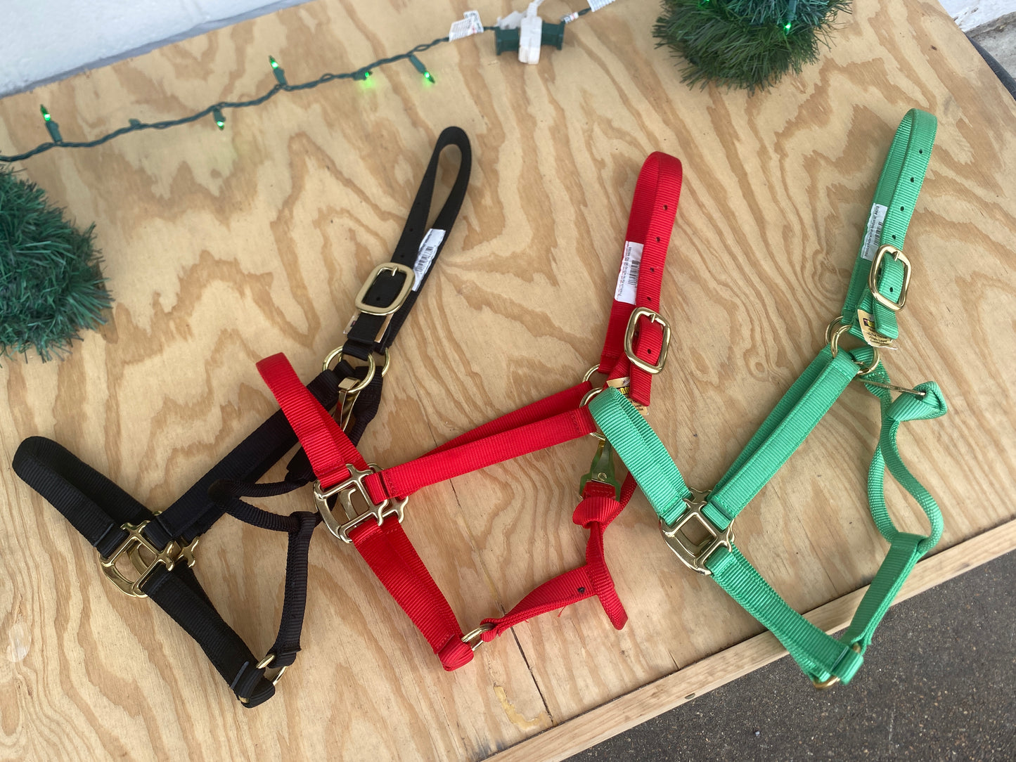 BMB Premium Horse Halter