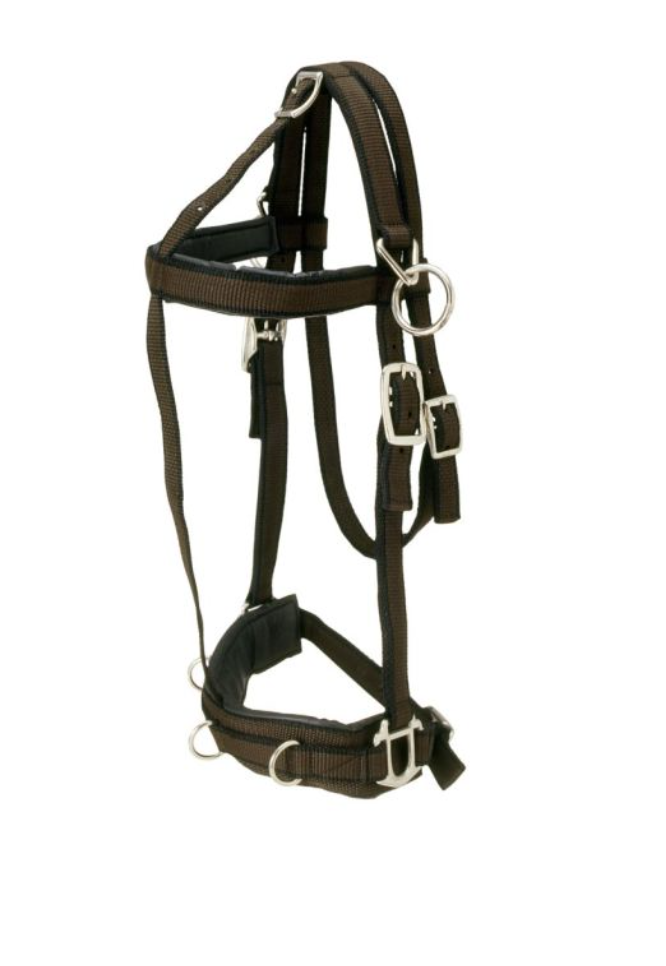 Tough 1 Nylon Training Cavesson