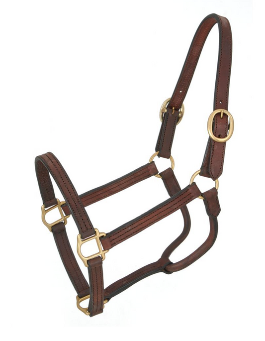 Royal King Leather Track Halter
