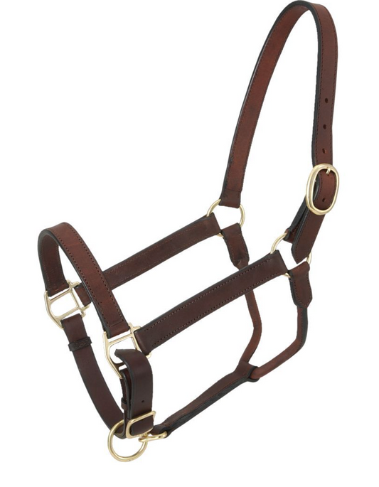 Royal King Leather Stable Halter