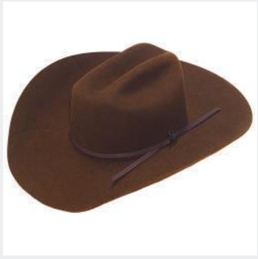 Ariat 6X Chocolate Felt Cowboy Hat