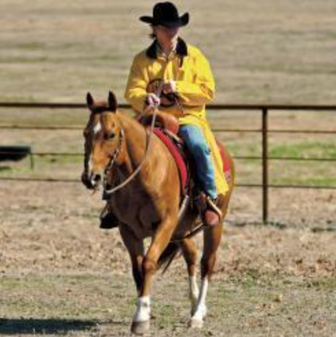 Saddle Slicker-Adult
