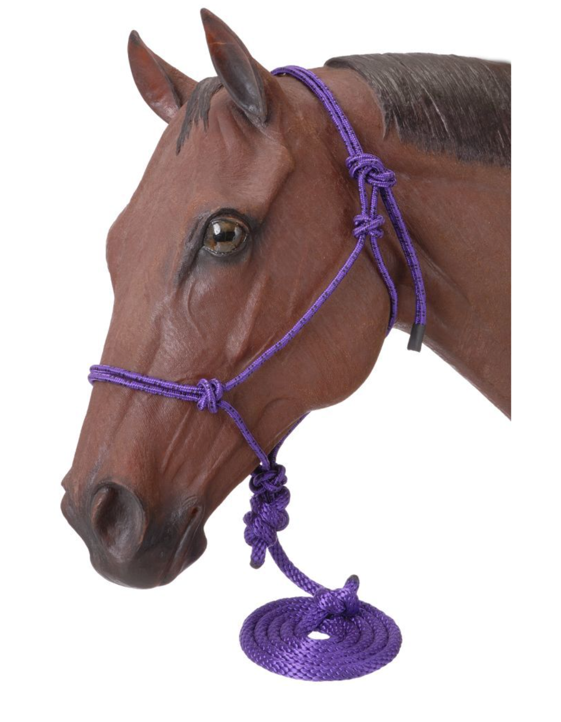 Poly Rope Tied Halter with Lead